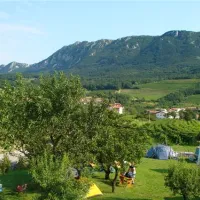 kamp-vrhpolje-vipava-l9iiz