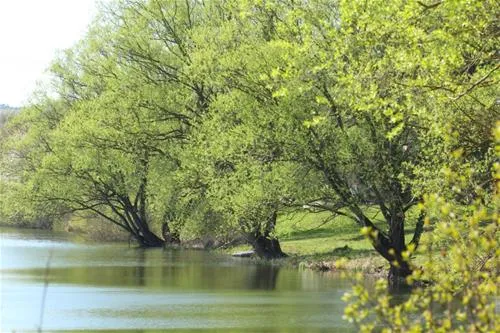 camping-wissmarer-see-wettenbergwimar-kmiry