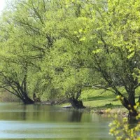 camping-wissmarer-see-wettenbergwimar-kmiry