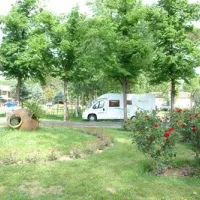 camping-internacional-aranjuez-aranjuez-23inv