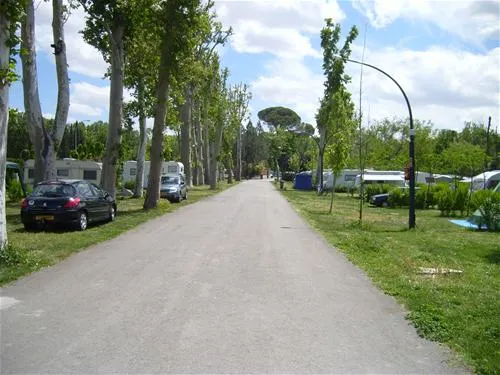 camping-internacional-aranjuez-aranjuez-5ts7q