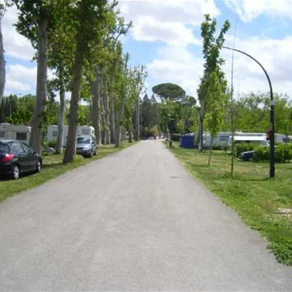 camping-internacional-aranjuez-aranjuez-5ts7q