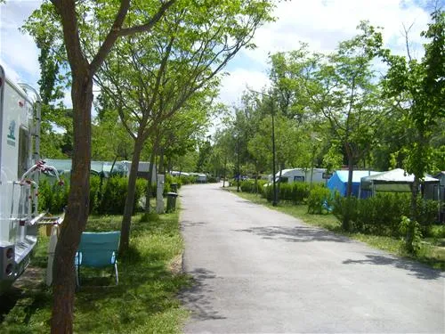 camping-internacional-aranjuez-aranjuez-l9yfa