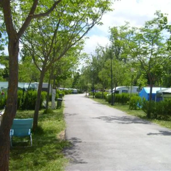 camping-internacional-aranjuez-aranjuez-l9yfa