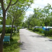 camping-internacional-aranjuez-aranjuez-l9yfa