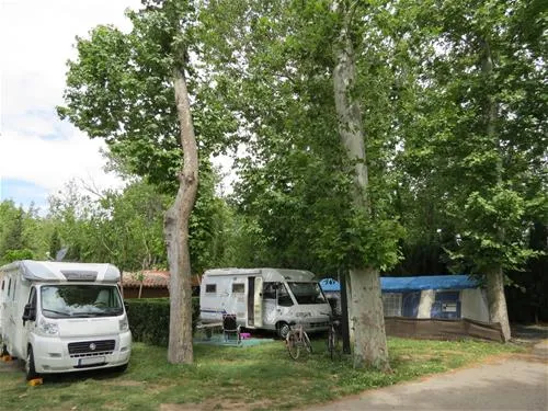camping-internacional-aranjuez-aranjuez-mdhrx