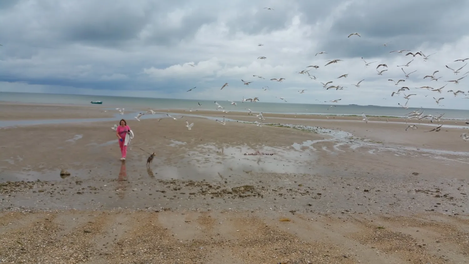 camping-les-iles-ravenoville-utpkt