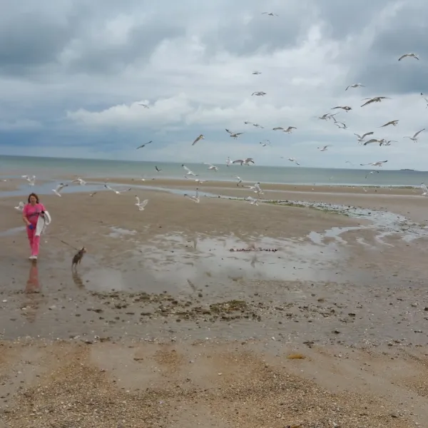 camping-les-iles-ravenoville-utpkt