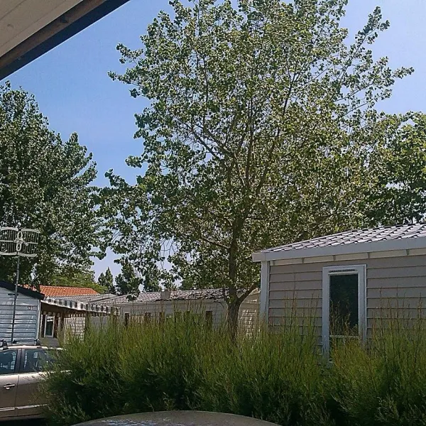 camping-ccas-les-jards-la-tranche-sur-mer-1qwx9