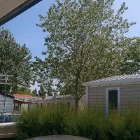 Camping C.C.A.S Les Jards