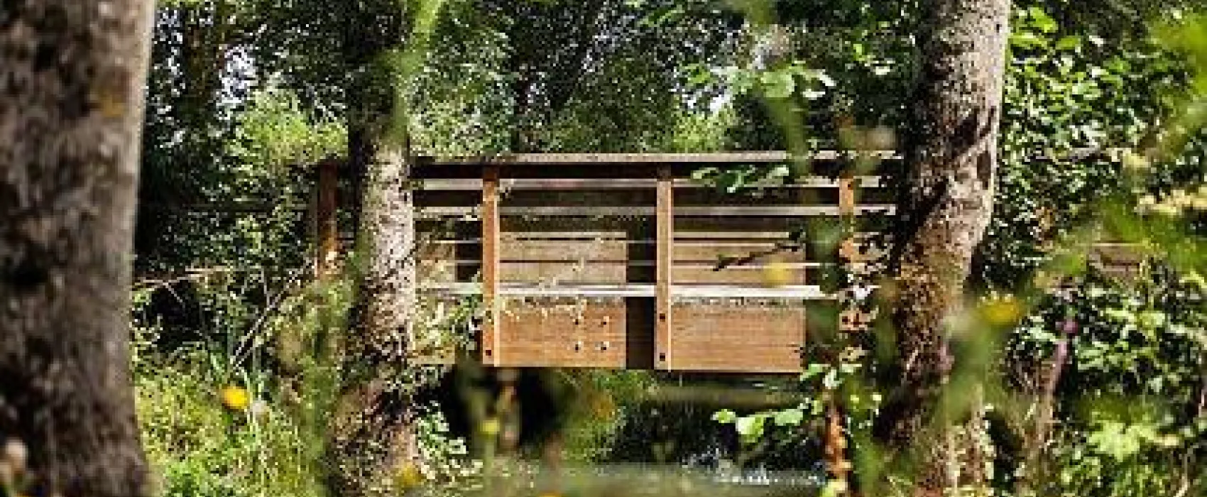 Camping Municipal  