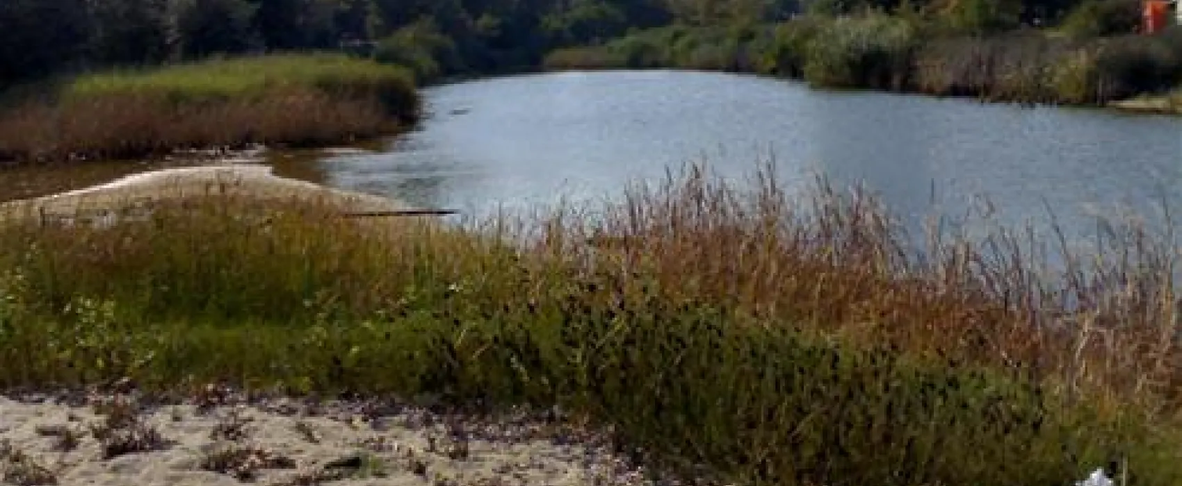 Camping Platanitsi
