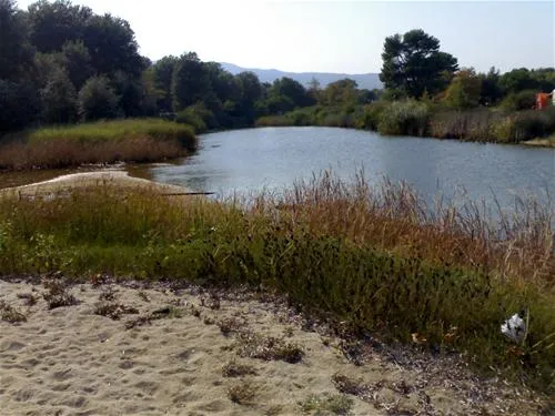 camping-platanitsi-sarti-cjgr0