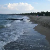 camping-ramazzotti-lido-di-dante-eitkn