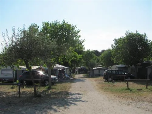 camping-ramazzotti-lido-di-dante-pfn3w