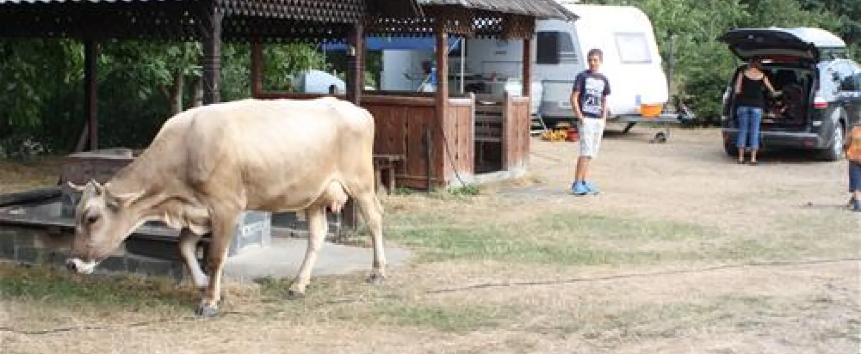 Camping Poieni