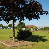Honeybridge Park