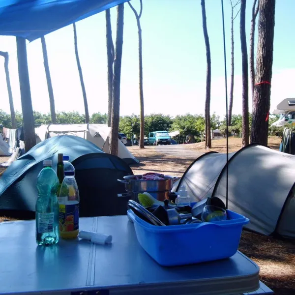 camping-albret-plage-messanges-in66l