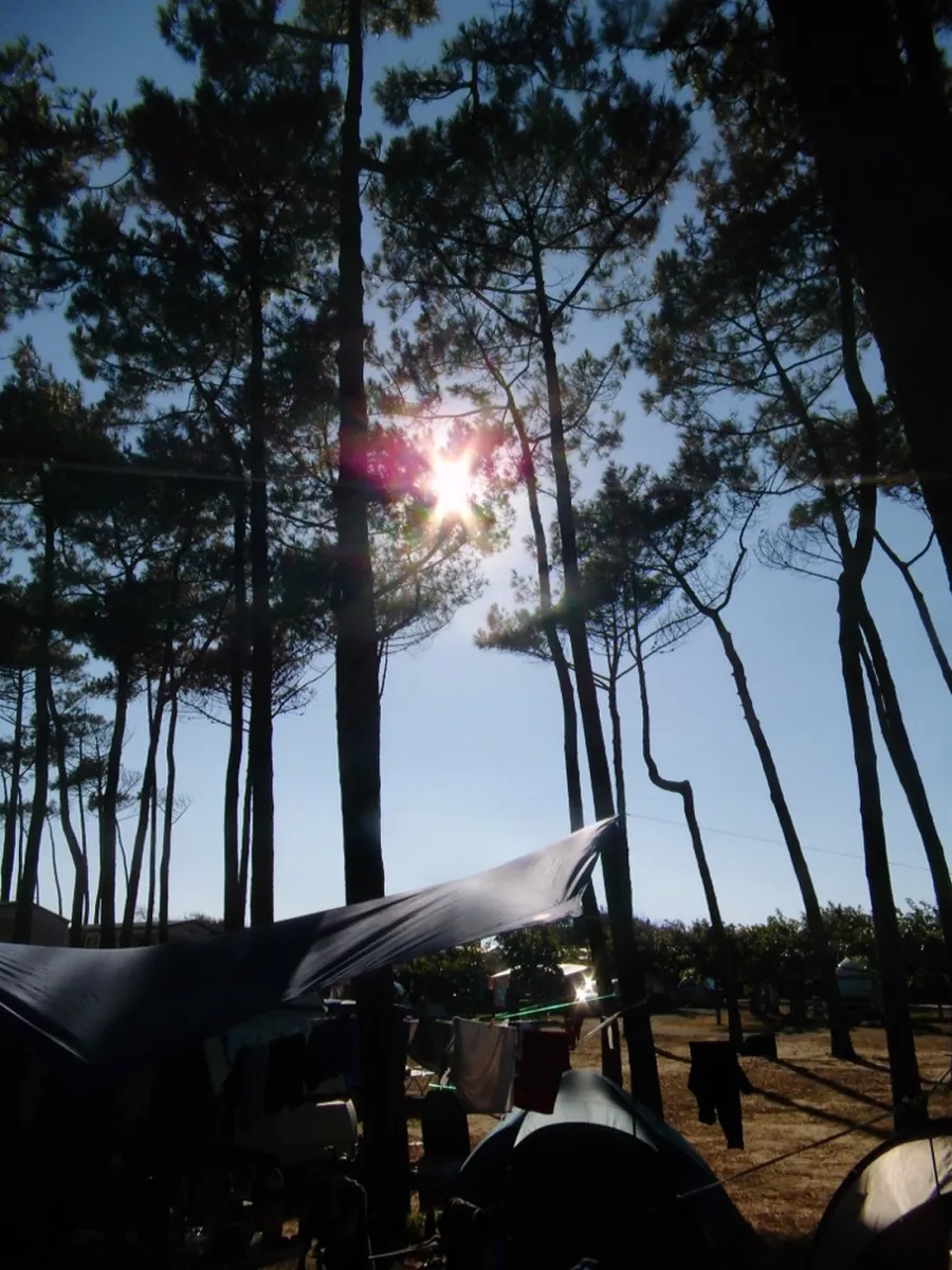 camping-albret-plage-messanges-no9fo