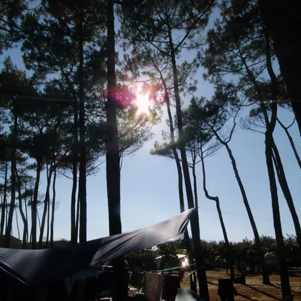 camping-albret-plage-messanges-no9fo