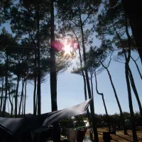 camping-albret-plage-messanges-no9fo