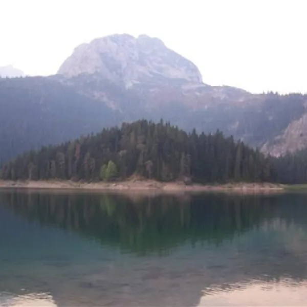 camp-mlinski-potok-zabljak-l65tm