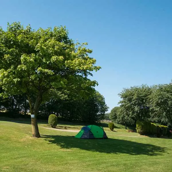 lime-tree-park-buxton-z2nvq