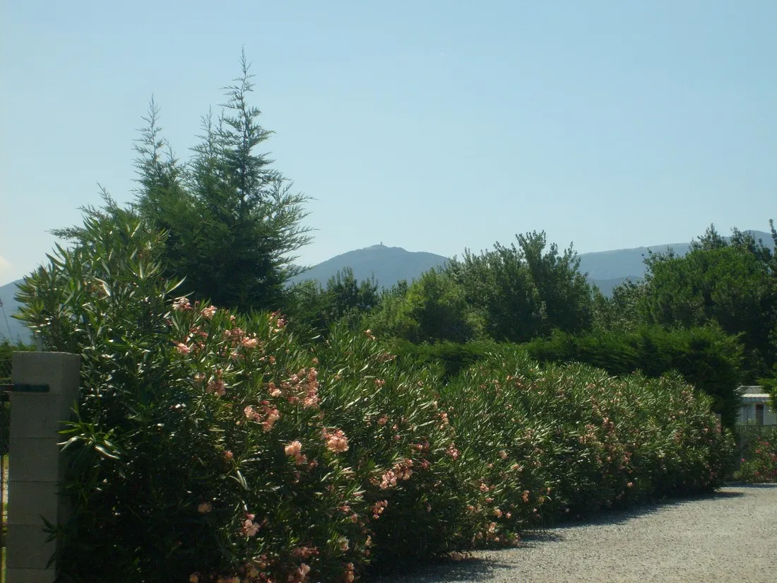 camping-la-marinade-argeles-sur-mer-ymg8o