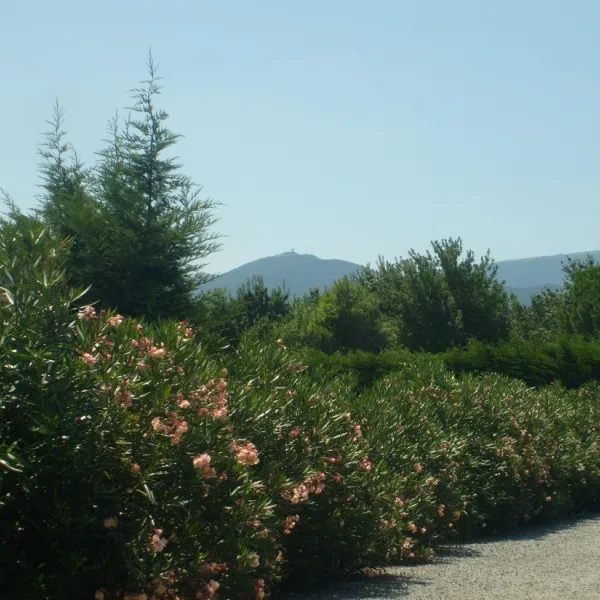 camping-la-marinade-argeles-sur-mer-ymg8o