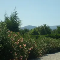 camping-la-marinade-argeles-sur-mer-ymg8o