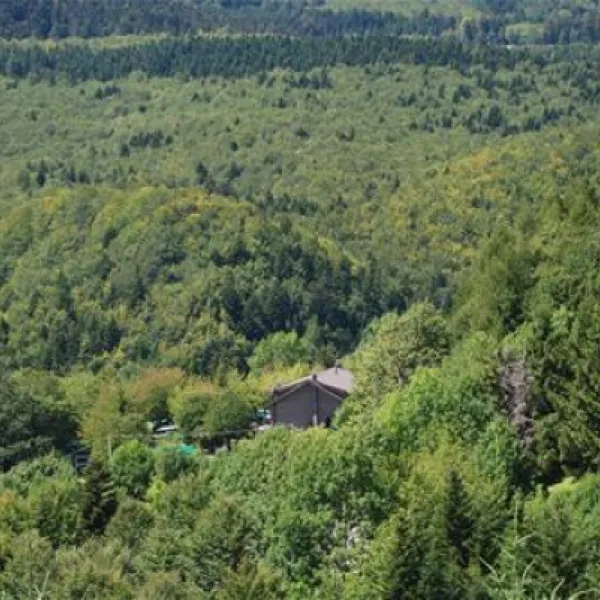 camping-bucaneve--bb-abetone--pistoia-hjihs