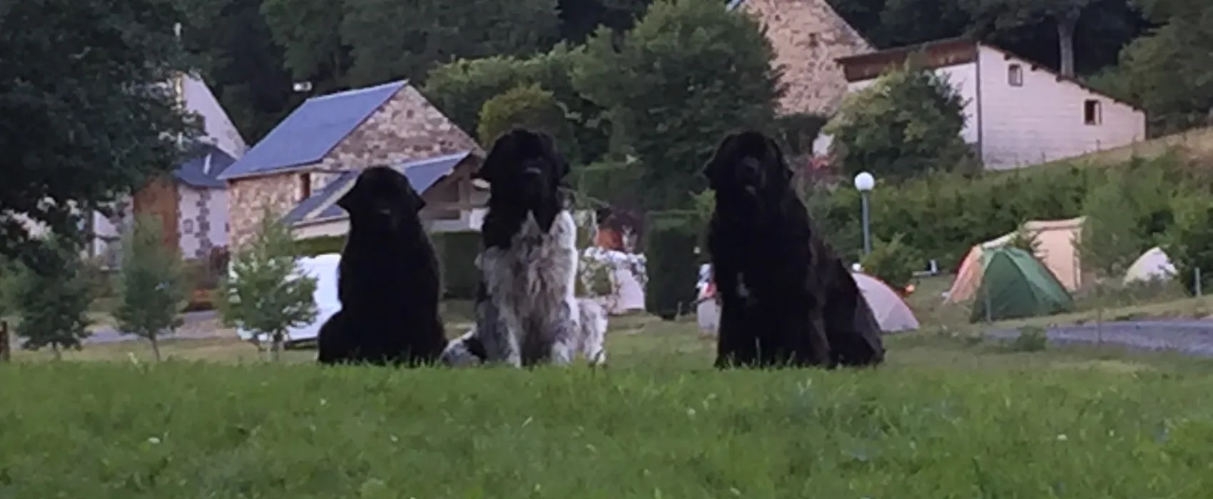 Camping Voissieres