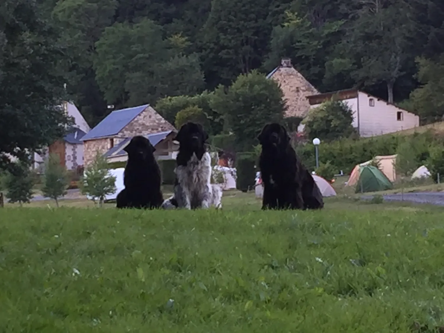camping-voissieres-chambon-sur-lac-uaqeo