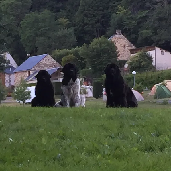 camping-voissieres-chambon-sur-lac-uaqeo