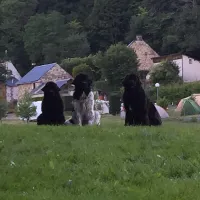 Camping Voissieres