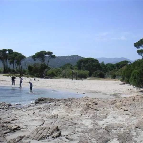 camping-california-ste-lucie-de-porto-vecchio-9dicg