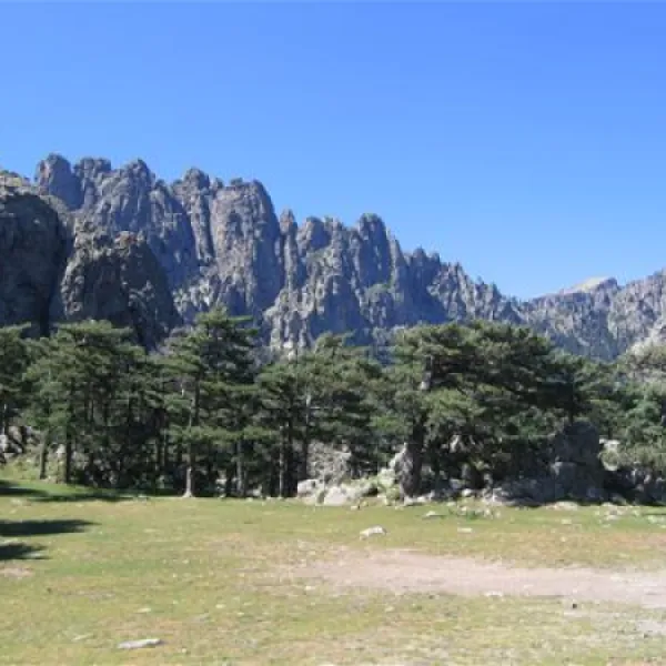 camping-california-ste-lucie-de-porto-vecchio-dqmxh