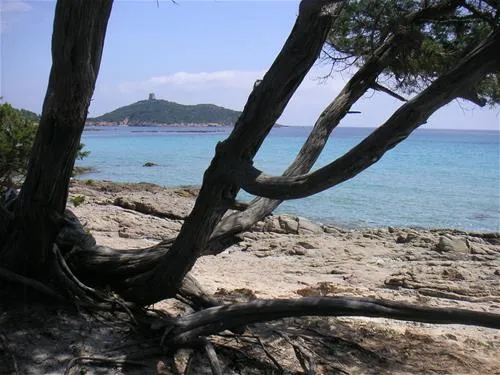 camping-california-ste-lucie-de-porto-vecchio-xwh9p