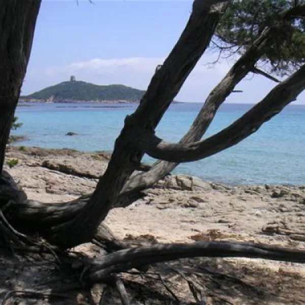 camping-california-ste-lucie-de-porto-vecchio-xwh9p