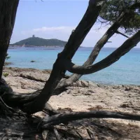 camping-california-ste-lucie-de-porto-vecchio-xwh9p
