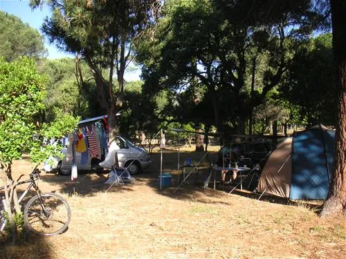 camping-california-ste-lucie-de-porto-vecchio-zzjlf