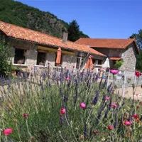 camping-domaine-du-pra-de-mars-vorey-4azm0