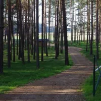 camping-am-kluger-see-neustrelitz-rbhmb