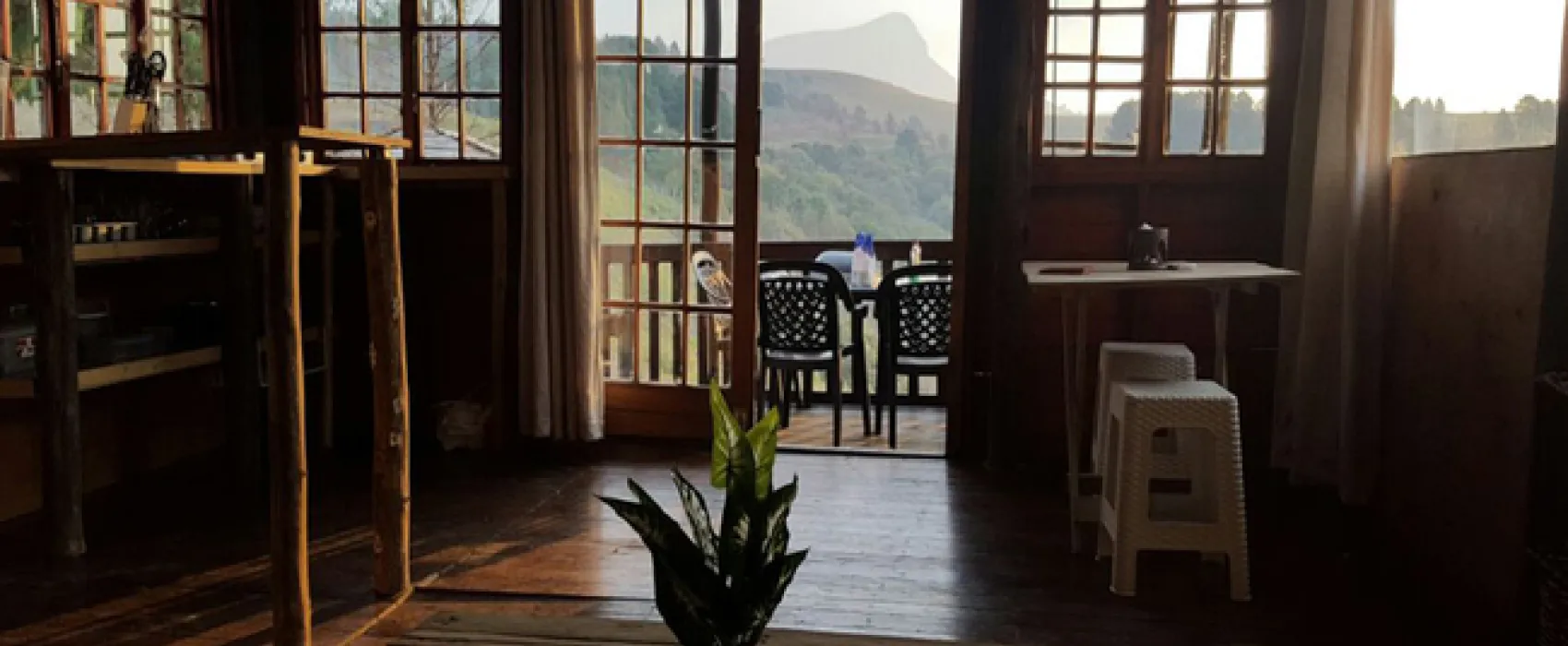 Dargle Forest Lodge