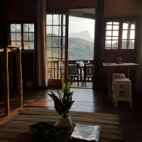 dargle-forest-lodge-dargle-jk3qa