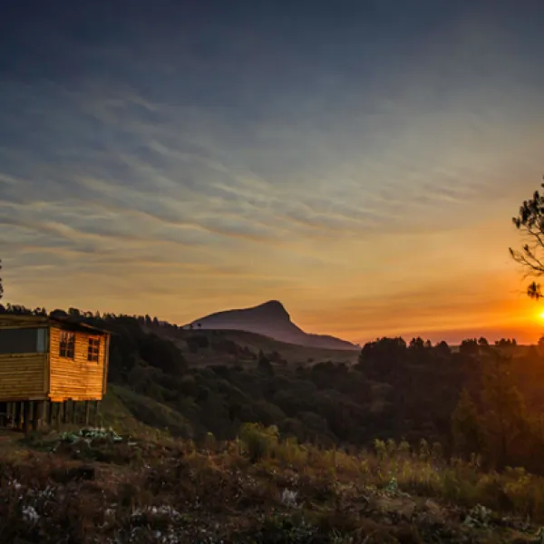 Dargle Forest Lodge