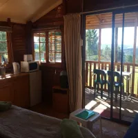 dargle-forest-lodge-dargle-oh01o
