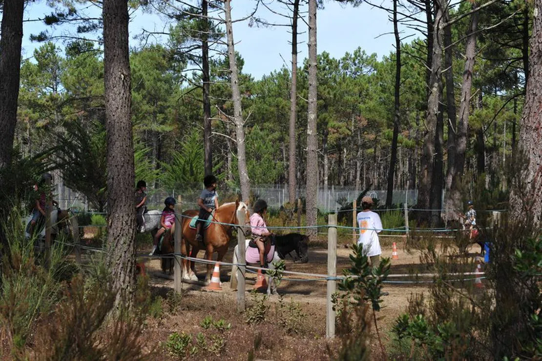 domaine-residentiel-naturiste-la-jenny-le-porge-foc5d
