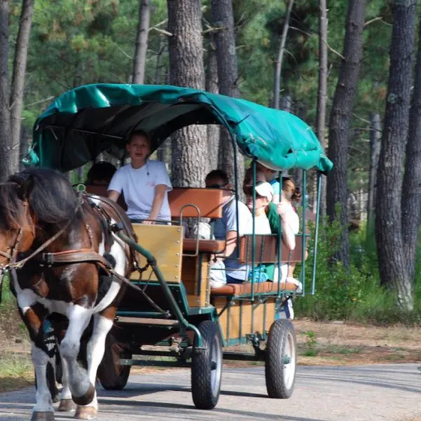 domaine-residentiel-naturiste-la-jenny-le-porge-otubx