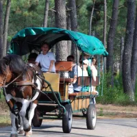 domaine-residentiel-naturiste-la-jenny-le-porge-otubx